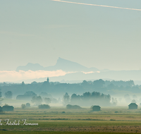 fileadmin/roha/images_galerie/orte_landschaft/Abtsdorf-Abtsdorfer-See/STIM-HAARM-ABTS-0003-D-roha-Stimmung-Haarmoos-Abtsdorf-Stadel-Sonnenaufgang.png