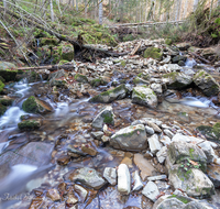 fileadmin/roha/images_galerie/wasser/WAS-WILDB-STOISS-0107-D-roha-Wasser-Wildbach-Stoissermaisbach-Poschennockbach-Teisenberg.png