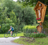 fileadmin/roha/images_galerie/Freizeit-Sport/Mountainbike-Radfahren/SPO-MOUN-AN-WO-0005-D-roha-Sport-Mountainbike-Radfahren-Anger-Wolfertsau-Wegkreuz.png