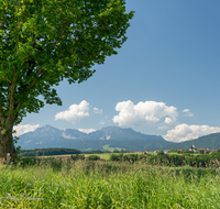 fileadmin/roha/images_galerie/orte_landschaft/Teisendorf/Weildorf/TEI-WEI-PAN-0012-01-D-roha-Teisendorf-Weildorf-Saaldorf-Schign-Hochstaufen-Zwiesel.png