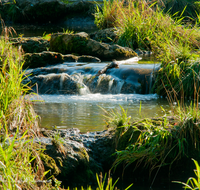 fileadmin/roha/images_galerie/wasser/WAS-BACH-SUR-0005-D-roha-Wasser-Bach-Fischtreppe-Sur-Teisendorf.png