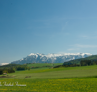 fileadmin/roha/images_galerie/orte_landschaft/Ainring/AINR-UL-0003-1-D-roha-Ulrichshoegl-Untersberg-Fruehling.png