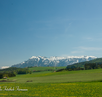 fileadmin/roha/images_galerie/orte_landschaft/Ainring/AINR-UL-0003-1-D-roha-Ulrichshoegl-Untersberg-Fruehling.png