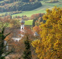 fileadmin/roha/images_galerie/orte_landschaft/Anger/Hoeglwoerth/AN-HOE-PAN-0094-8-D-roha-Anger-Hoeglwoerth-Herbst.png