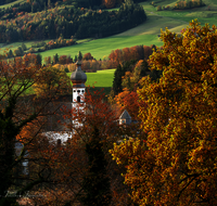 fileadmin/roha/images_galerie/orte_landschaft/Anger/Hoeglwoerth/AN-HOE-PAN-0094-8-D-roha-Anger-Hoeglwoerth-Herbst.png