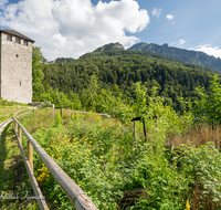 fileadmin/roha/images_galerie/orte_landschaft/Bad_Reichenhall/BAD-REI-PULV-0001-D-roha-Bad-Reichenhall-Pulverturm-Predigtstuhl-Blumenwiese.png