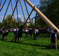 fileadmin/roha/images_galerie/brauchtum/Maibaum/Reichenhall-Marzoll-Schoenram/BR-MAIB-MARZ-0016-D-roha-Brauchtum-Maibaum-Marzoll.png