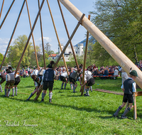 fileadmin/roha/images_galerie/brauchtum/Maibaum/Reichenhall-Marzoll-Schoenram/BR-MAIB-MARZ-0016-D-roha-Brauchtum-Maibaum-Marzoll.png