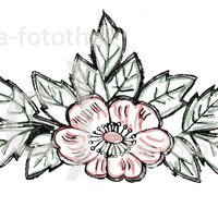 fileadmin/roha/images_galerie/Clipart/Blumenornament-001-F-rot_Kopie.jpg