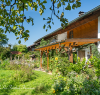 fileadmin/roha/images_galerie/Baum-natur-garten/Haus-Blumenschmuck-Deko/GAR-WILD-0005-D-roha-Garten-Wild-Beet-Sonnenblume-Haus-Pergola.png