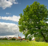 fileadmin/roha/images_galerie/orte_landschaft/Laufen/LAUF-LEOB-0004-D-roha-Laufen-Leobendorf-Kirche-Wolken.png