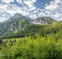 fileadmin/roha/images_galerie/orte_landschaft/Piding/PID-STEIN-ALM-0015-0-05-D-M-roha-Piding-Steiner-Alm-Hochstaufen-Mittelstaufen.png