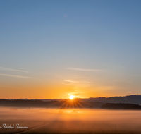 fileadmin/roha/images_galerie/orte_landschaft/Haarmoos/SO-AU-HAARM-0030-0515-01-01-D-roha-Sonne-Sonnenaufgang-Haarmoos-Nebel.png