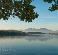 fileadmin/roha/images_galerie/orte_landschaft/Abtsdorf-Abtsdorfer-See/ABTS-SEE-STIM-0005-D-roha-Abtsdorfer-See-Ufer-Herbst-Stimmung.png