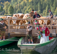 fileadmin/roha/images_galerie/brauchtum/Almabtrieb/Almabtrieb-Koenigssee/BR-ALMAB-BGD-2015-1133-01-D-roha-Brauchtum-Almabtrieb-Koenigssee-Salet-Schoenau-Fuikl-Boot-Sennerin.png