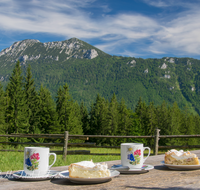 fileadmin/roha/images_galerie/orte_landschaft/Inzell/INZ-BAECK-ALM-GAS-0001-D-roha-Inzell-Baeckeralm-Zwiesel-Zaun-Kaffee-Kuchen-Tasse.png