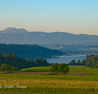 fileadmin/roha/images_galerie/orte_landschaft/Waging/LANDS-TACH-0011-D-roha-Landschaft-Tachinger-See-Hochstaufen-Zwiesel-Teisenberg-Maisfeld-Gerste.png