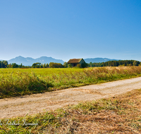 fileadmin/roha/images_galerie/orte_landschaft/Saaldorf/SPO-MOUN-HAARM-0003-D-roha-Sport-Mountainbike-Haarmoos-Stadel-Saaldorf-Leobendorf-Laufen-Hochstaufen.png