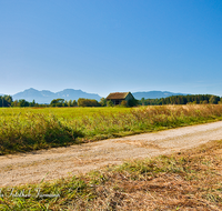 fileadmin/roha/images_galerie/orte_landschaft/Saaldorf/SPO-MOUN-HAARM-0003-D-roha-Sport-Mountainbike-Haarmoos-Stadel-Saaldorf-Leobendorf-Laufen-Hochstaufen.png