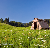 fileadmin/roha/images_galerie/orte_landschaft/Teisendorf/Neukirchen/TEI-NEUK-KOEHL-0008-D-roha-Neukirchen-Kohlenmeiler-Rindenhuette-Brauchtum.png