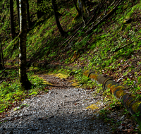 fileadmin/roha/images_galerie/wege/WEGE-R-Hall-ANTONI-SOLEL-0003-D-roha-Wander-Weg-Bad-Reichenhall-Antoniberg-Soleleitung.png