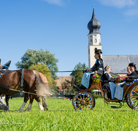 fileadmin/roha/images_galerie/orte_landschaft/Ainring/Trachtenfest/BR-FEST-FELDK-TRACH-2019-08-18-0951-04-D-roha-Brauchtum-Fest-Feldkirchen-Trachtenverein-Ainring.png