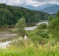 fileadmin/roha/images_galerie/orte_landschaft/Petting/PE-SURSP-0013-D-roha-Petting-Teisendorf-Surspeicher-Wasser-Blumenwiese-Hochstaufen-Zwiesel.png