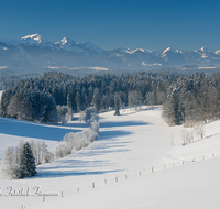 fileadmin/roha/images_galerie/Winter/WINT-TEI-NEUK-0015-D-roha-Winter-Teisendorf-Neukirchen-Chiemgauer-Berge-Hochfelln-Hochgern.png