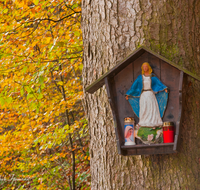 fileadmin/roha/images_galerie/kirche_religion/Anger/KKKM-ANG-HOEG-0011-D-roha-Weg-Kreuz-Anger-Hoeglwoerth-See-Wanderweg-Schutzmantel-Madonna-Herbst-Wald-Buche.png