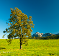 fileadmin/roha/images_galerie/orte_landschaft/Anger/Anger/Anger-Landschaft/LANDS-ANG-NEUH-0009-D-roha-Landschaft-Anger-Neuhaus-Hochstaufen-Zwiesel.png