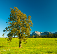 fileadmin/roha/images_galerie/orte_landschaft/Anger/Anger/Anger-Landschaft/LANDS-ANG-NEUH-0009-D-roha-Landschaft-Anger-Neuhaus-Hochstaufen-Zwiesel.png