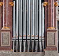 fileadmin/roha/images_galerie/orte_landschaft/Salzburg/Dom/SA-DOM-0010-0-2-D-roha-Salzburg-Dom-Orgel-Pfeifen.png