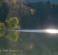 fileadmin/roha/images_galerie/wasser/AN-HOE-FRUEH-0006-D-roha-Anger-Hoeglwoerth-Fruehling-Wald-Spiegelung-Stimmung-Wasser.png