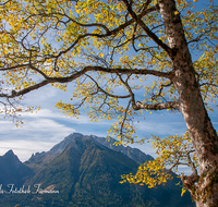 fileadmin/roha/images_galerie/orte_landschaft/Berchtesgaden/Ramsau/BGD-RA-LAN-0045-D-roha-Berchtesgaden-Ramsau-Landschaft-Blaueis-Hochkalter-Bergahorn.png