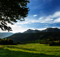 fileadmin/roha/images_galerie/Hintergrund-Download/2048x1152/LANDS-ANG-NEUH-0024-D-roha-Landschaft-Anger-Neuhaus-Hochstaufen-Bank-Kuh-Herde.png