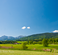 fileadmin/roha/images_galerie/orte_landschaft/Teisendorf/IN-LANDS-Teisendorf/LANDS-TEIS-WOER-0013-D-roha-Landschaft-Teisendorf-Woerlach-Hochstaufen-Zwiesel-Teisenberg.png