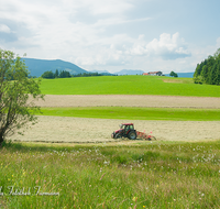 fileadmin/roha/images_galerie/Landwirtschaft/LANDW-MASCH-0037-D-roha-Landwirtschaft-Neukirchen-Au-Traktor-Heu.png