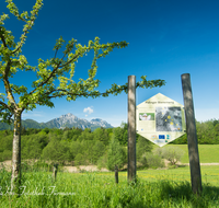 fileadmin/roha/images_galerie/orte_landschaft/Piding/PID-JOH-BIEN-0001-D-roha-Piding-Johannishoegl-Hochstaufen-Zwiesel-Bienenweg.png