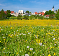 fileadmin/roha/images_galerie/orte_landschaft/Teisendorf/TEI-SUED-OST-0023-D-roha-Teisendorf-Panorama-Sued-Ost-Fruehling.png