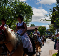 fileadmin/roha/images_galerie/brauchtum/Leonhardiritt/Holzhausen_01/Holzhausen-Ritt-2023/BR-PFRI-HOLZ-2023-1013-3-D-H-roha-Brauchtum-Leonhardiritt-Holzhausen-Teisendorf.png