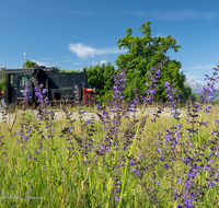 fileadmin/roha/images_galerie/orte_landschaft/Freilassing/FREIL-KREISV-EISB-0016-D-roha-Freilassing-Eisenbahn-Kreisverkehr-Lokomotive.png