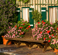 fileadmin/roha/images_galerie/Fenster-Tueren/LANDA-BLUMENSCHM-0024-D-roha-Landart-Bauernhaus-Hausbank-Blumenschmuck.png