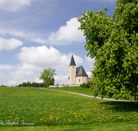 fileadmin/roha/images_galerie/kirche_religion/Tittmoning/TITTM-MEGG-0001-D-roha-Tittmoning-Meggenthal-Kirche-Blumenwiese-Kastanienbaum.png