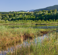 fileadmin/roha/images_galerie/orte_landschaft/Ainring/AINR-MOOR-0006-1-D-roha-Ainring-Moor-See-Ulrichshoegl.png