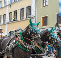 fileadmin/roha/images_galerie/orte_landschaft/Teisendorf/Gaufest-GauverbandI-Freitag14.-Sonntag23.Juli2023/BR-GAUFEST-TEIS-2023-3-1206-04-D-roha-Tracht-Gaufest-Teisendorf.png