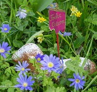 fileadmin/roha/images_galerie/brauchtum/Ostern/BR-OST-LAMM-0002-D-roha-Brauchtum-Ostern-Osterlamm-Blumenwiese.png