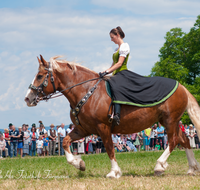 fileadmin/roha/images_galerie/brauchtum/Leonhardiritt/Holzhausen_01/Kaltblutfest/BR-PFRI-HOLZ-KALTBL-0053-D-roha-Brauchtum-Kaltblut-Pferd-Holzhausen-Teisendorf-Reiterin.png