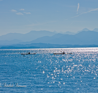 fileadmin/roha/images_galerie/stimmung-Sonne/CHIE-STIM-PAD-0001-D-roha-Chiemsee-Stimmung-Malerwinkel-Paddeln.png