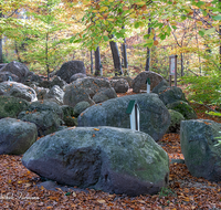 fileadmin/roha/images_galerie/orte_landschaft/Teisendorf/Geo-Park-Lehrpfad/TEI-GEOL-GAR-0017-D-roha-Teisendorf-Geologischer-Garten-Findlinge-Steine-Laub-Buche-Eiche-Herbst.png