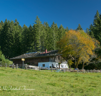 fileadmin/roha/images_galerie/orte_landschaft/Inzell/INZ-BAECK-ALM-0003-D-roha-Inzell-Baeckeralm-Hochstaufen-Herbst-Zaun-Herbst.png